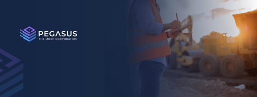 Pegasus banner image